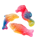 Rainbow Sea